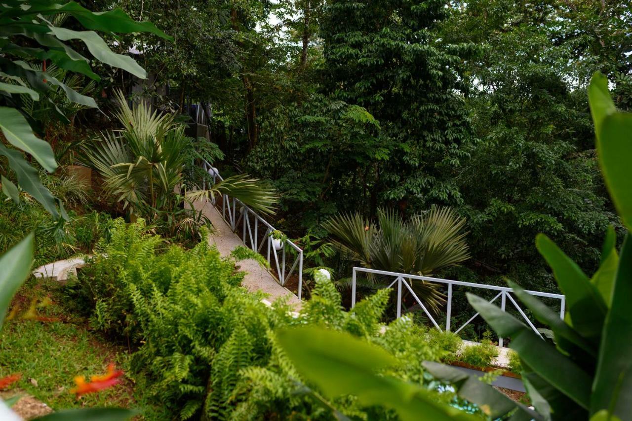 Volcano Gold Loft La Fortuna Exterior photo