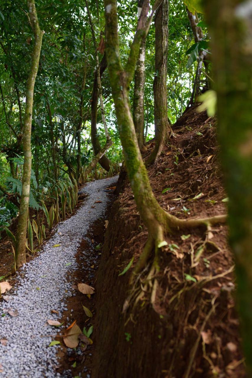 Volcano Gold Loft La Fortuna Exterior photo