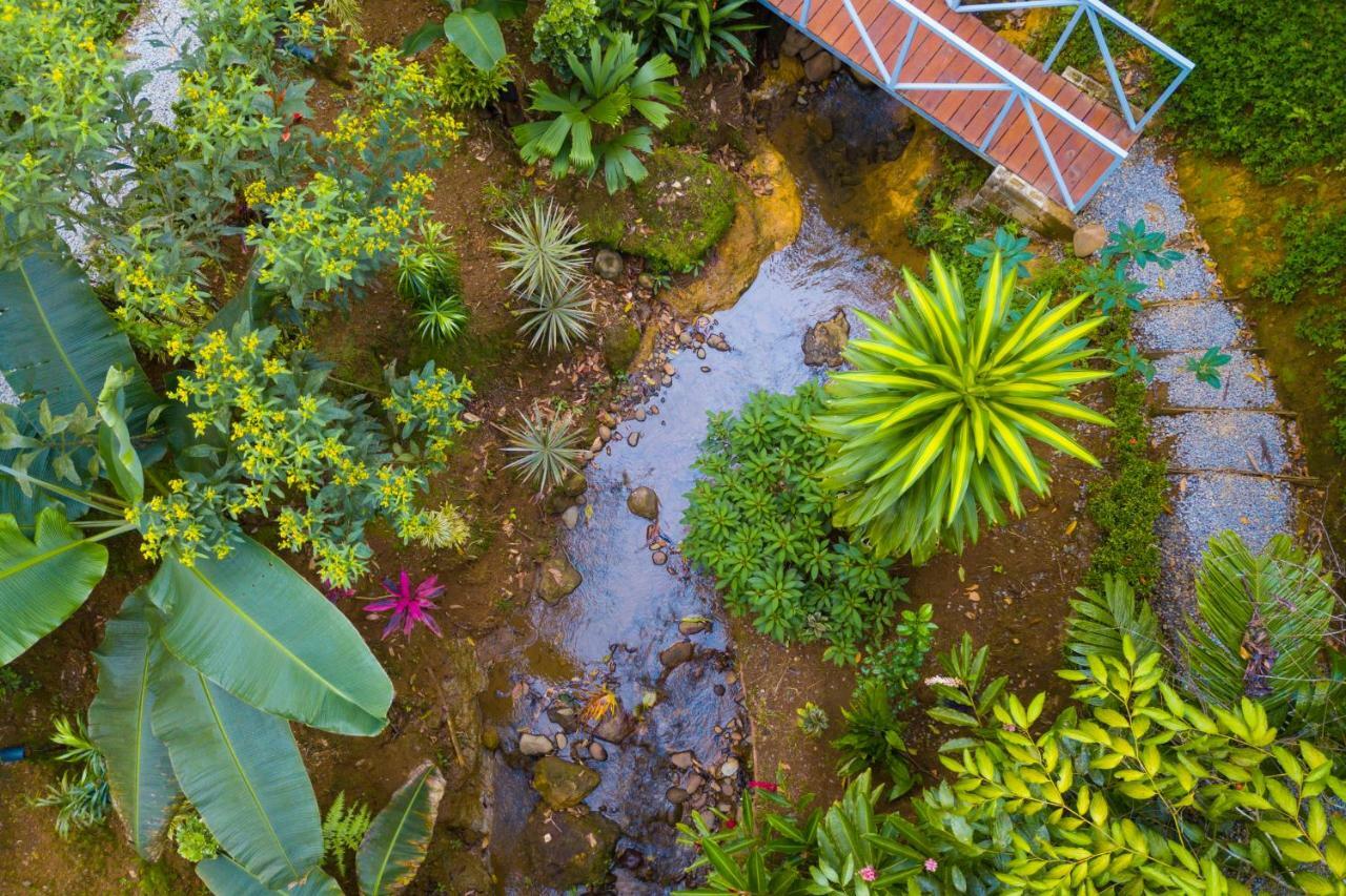 Volcano Gold Loft La Fortuna Exterior photo